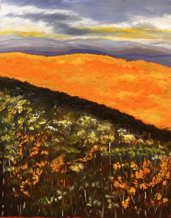 Landscape 27 Original Oil Painting Without Frame 16 x 20
