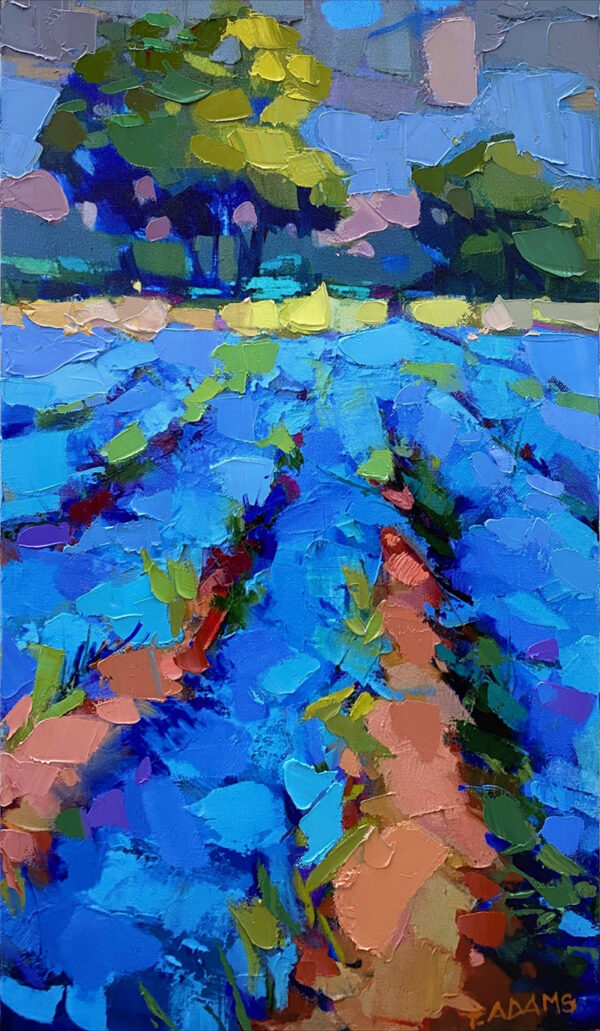 looking down the rows by trisha adams